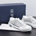 DIOR LOWS CANVAS