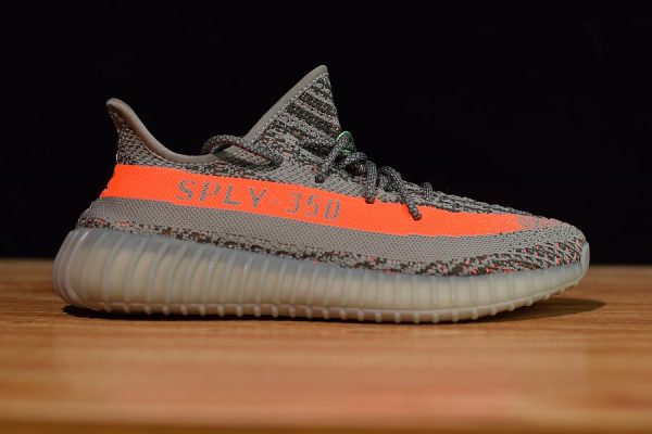 BELUGA V2 - Image 5