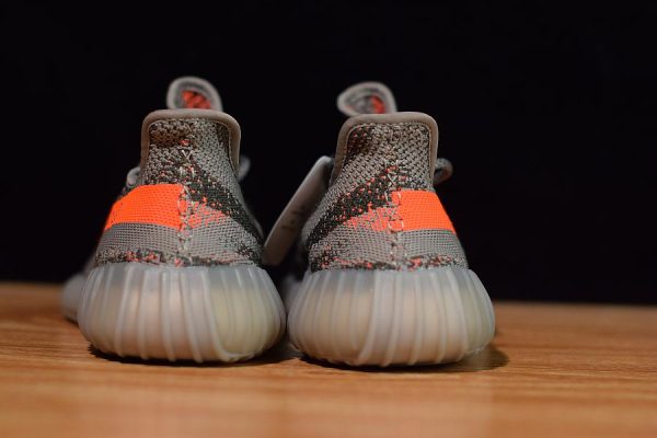 BELUGA V2 - Image 6