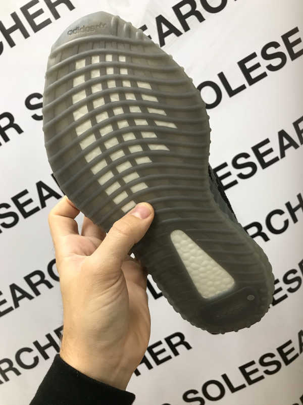 BELUGA 2.0 - Image 4