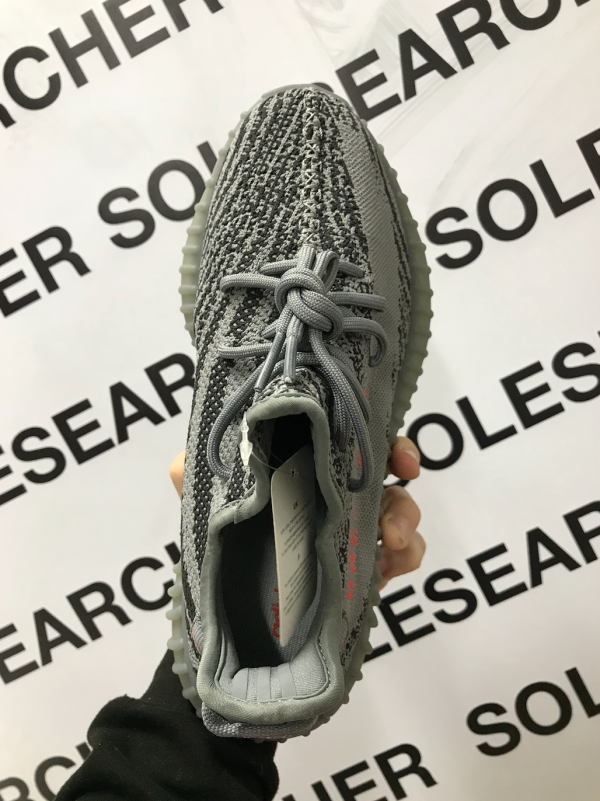 BELUGA 2.0 - Image 6