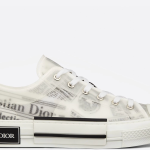 DIOR LOWS CANVAS