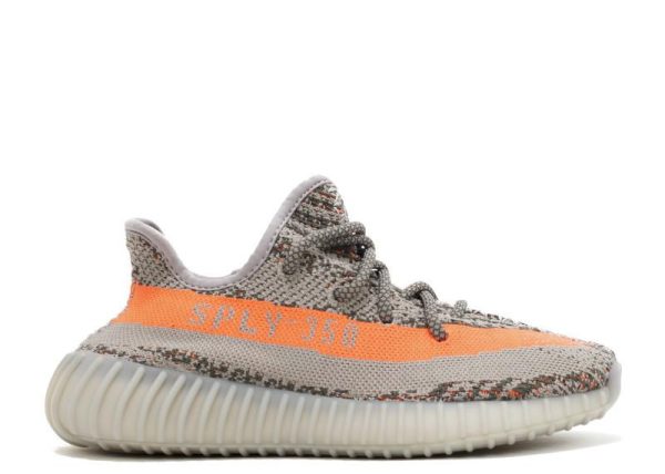 BELUGA V2