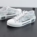 DIOR LOWS CANVAS