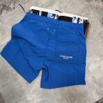 Stone Shorts Blue